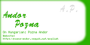 andor pozna business card